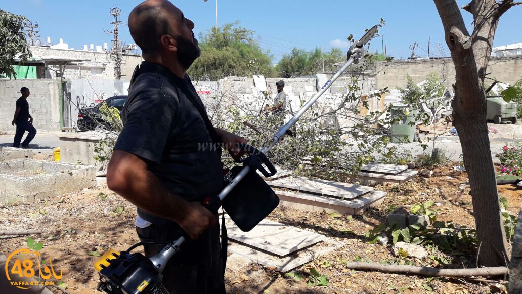 maqbara yaffai39 tandef (7).jpg